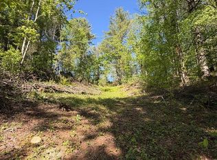 Jeb Stuart Hwy, Damascus, VA 24236