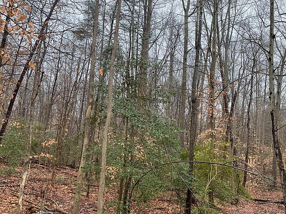 5th image of 380 Mason Rd