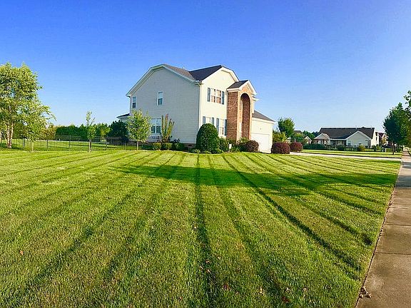 Southern property line view