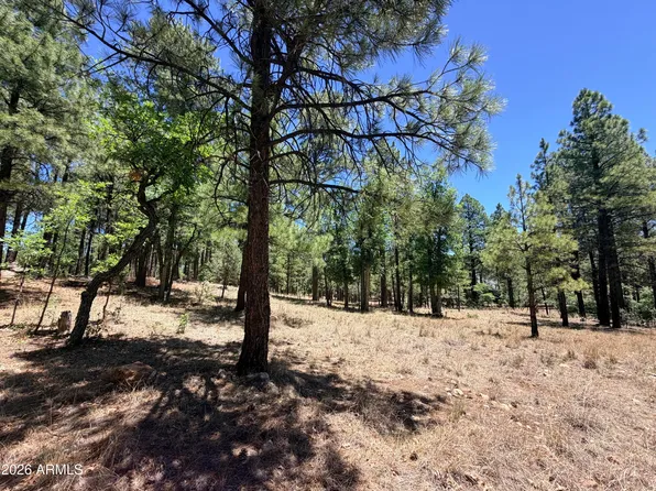 4215 APACHE Drive #428, Happy Jack, AZ 86024