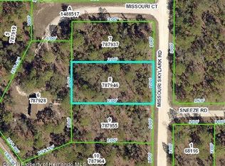 15047 Missouri Skylark Rd, Weeki Wachee, FL 34614
