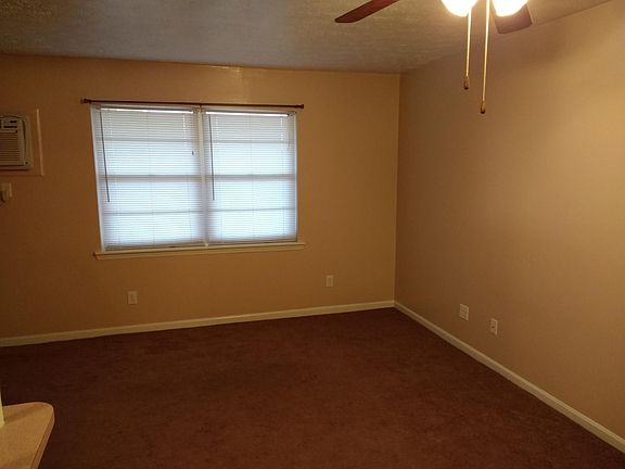 Living room window