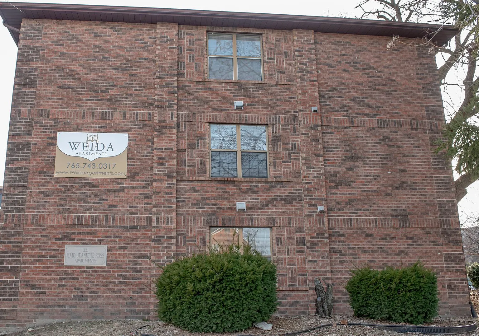 331 — Photo 2