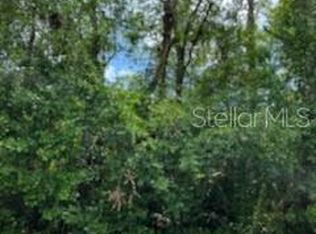 County Road 44 #0, Leesburg, FL 34788