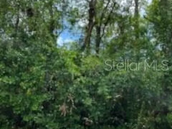 County Road 44 #0, Leesburg, FL 34788