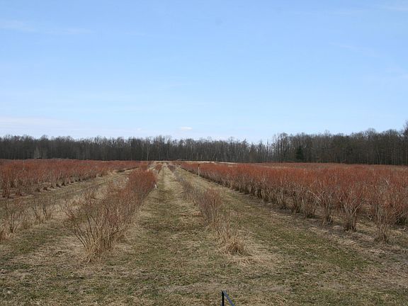 4th image of 56888 County Road 380