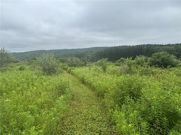 2nd image of LOT 1 County Route 46 Lot 25