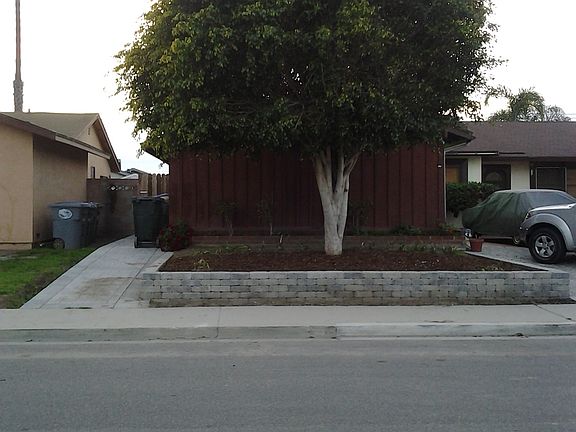 Tree has been trimmed!