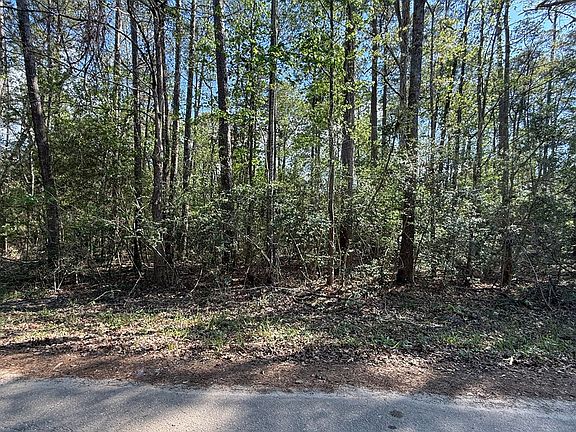 5th image of 67 Angleridge Dr