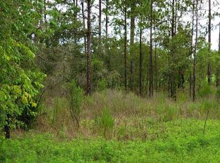 NE 154th Ter LOT 13, Williston, FL 32696