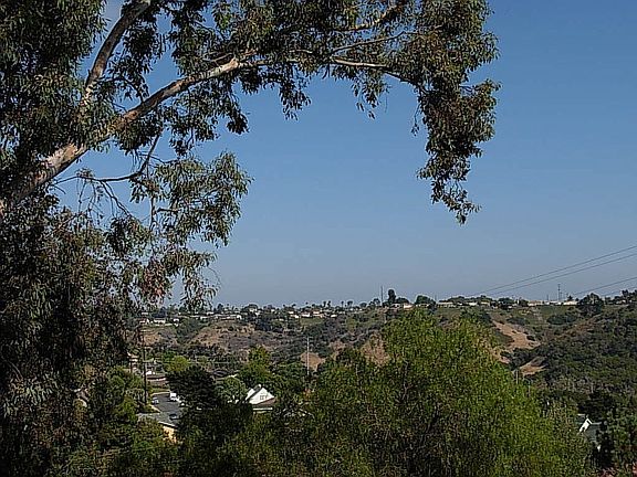 view from back yard