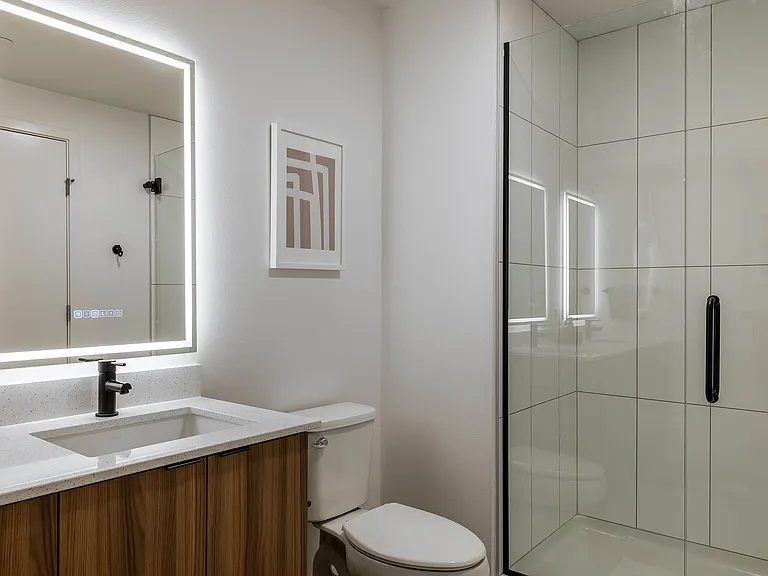 Designer bathroom with walk-in shower