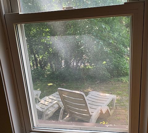 view from Living room window