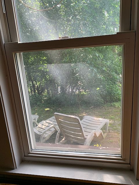 view from Living room window
