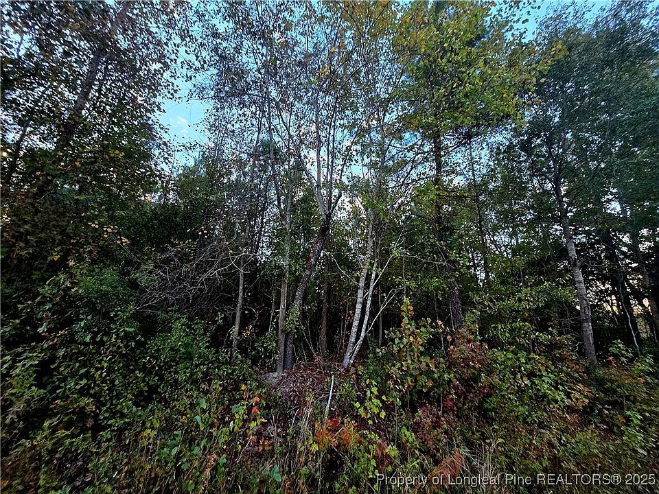 2nd image of Walker Rd
