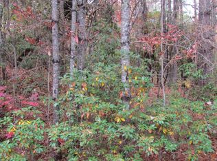 74 Big Pine Rd, Sapphire, NC 28774