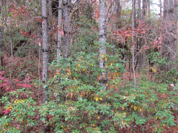 Lot #74 Big Pine Road, Sapphire, NC 28774