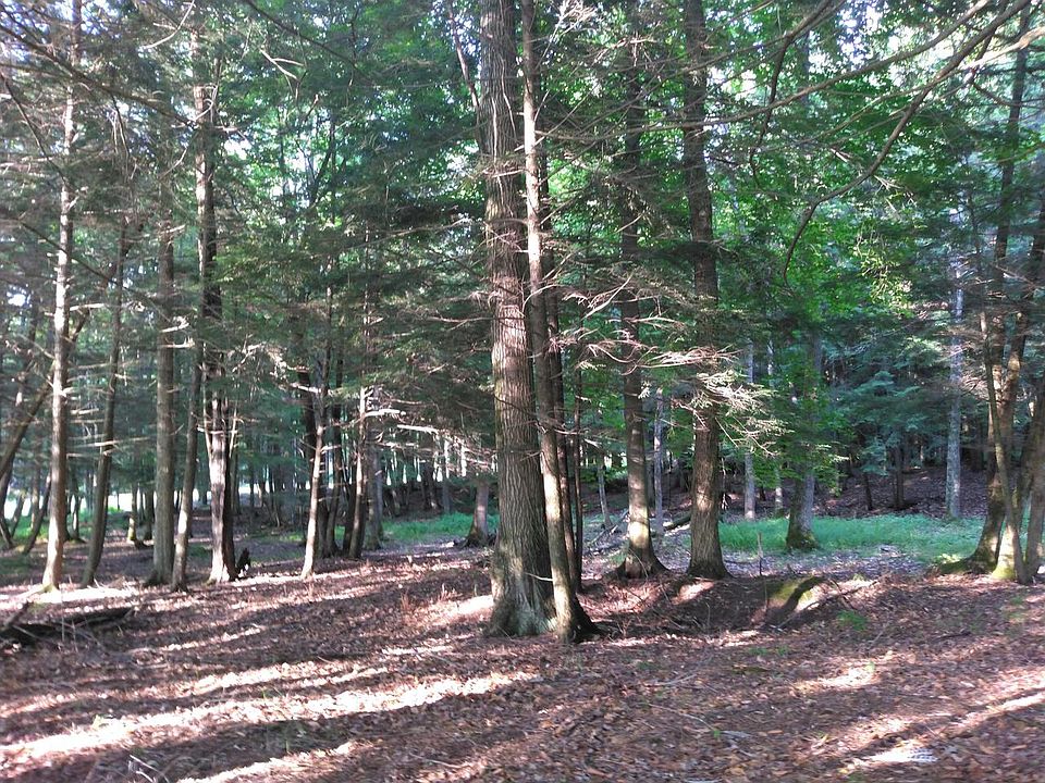 1st image of LT 13 Eagle's Way