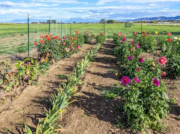 LOT 3 Solar Rd, Montrose, CO 81403