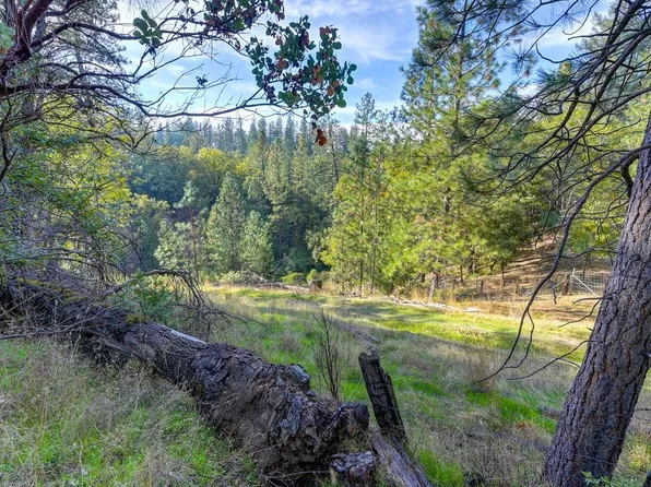 26355 Barb Wire Ln, Colfax, CA 95713