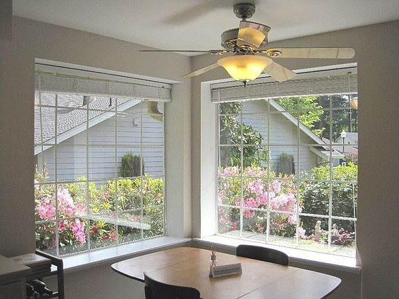 sun drenched kitchen