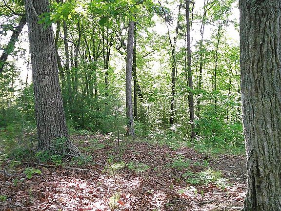4th image of LOT 8 Fain Peak