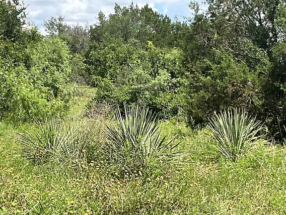 3rd image of Fm 2486
