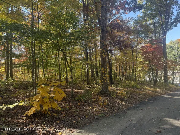 4338 York Rd, Knoxville, TN 37938