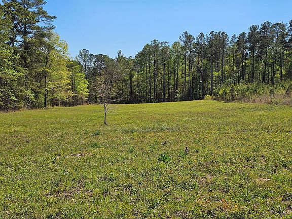 Butler Rd Tract 3 05