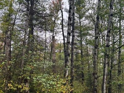 Xx3x Port Wing Line Rd, Pt Wing, WI, 54865