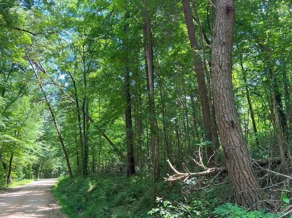 0 Little Spring Ln, Decaturville, TN 38329
