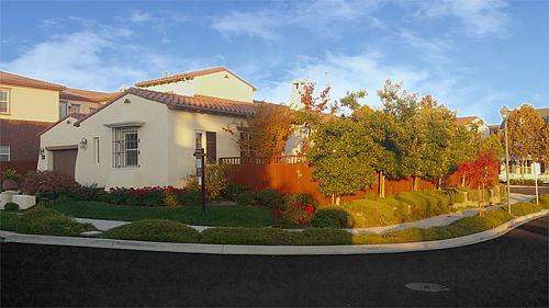 5th image of 906 Saddlehorn Ct