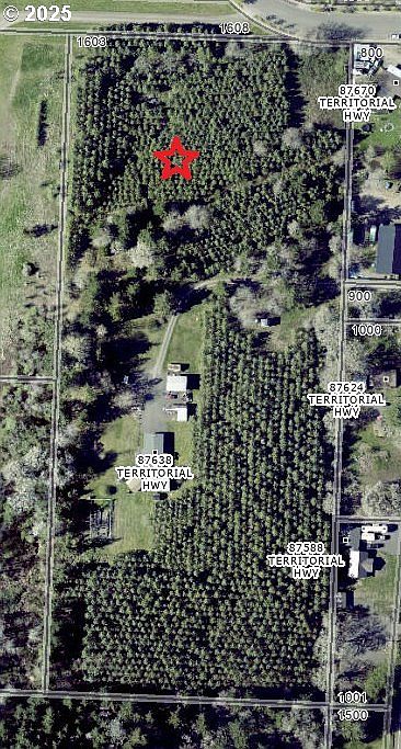 87638 Territorial Hwy, Veneta, OR 97487 | Zillow
