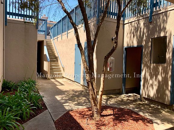 5th image of 350 Ramona Ave APT 2