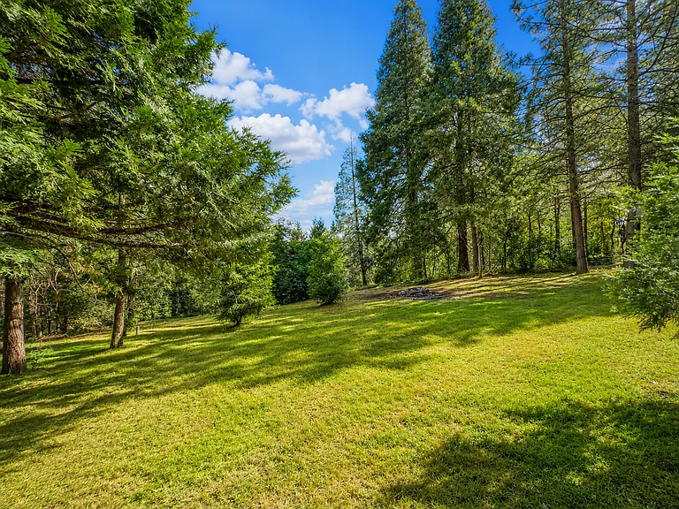 24273 Shake Ridge Rd — Photo 19