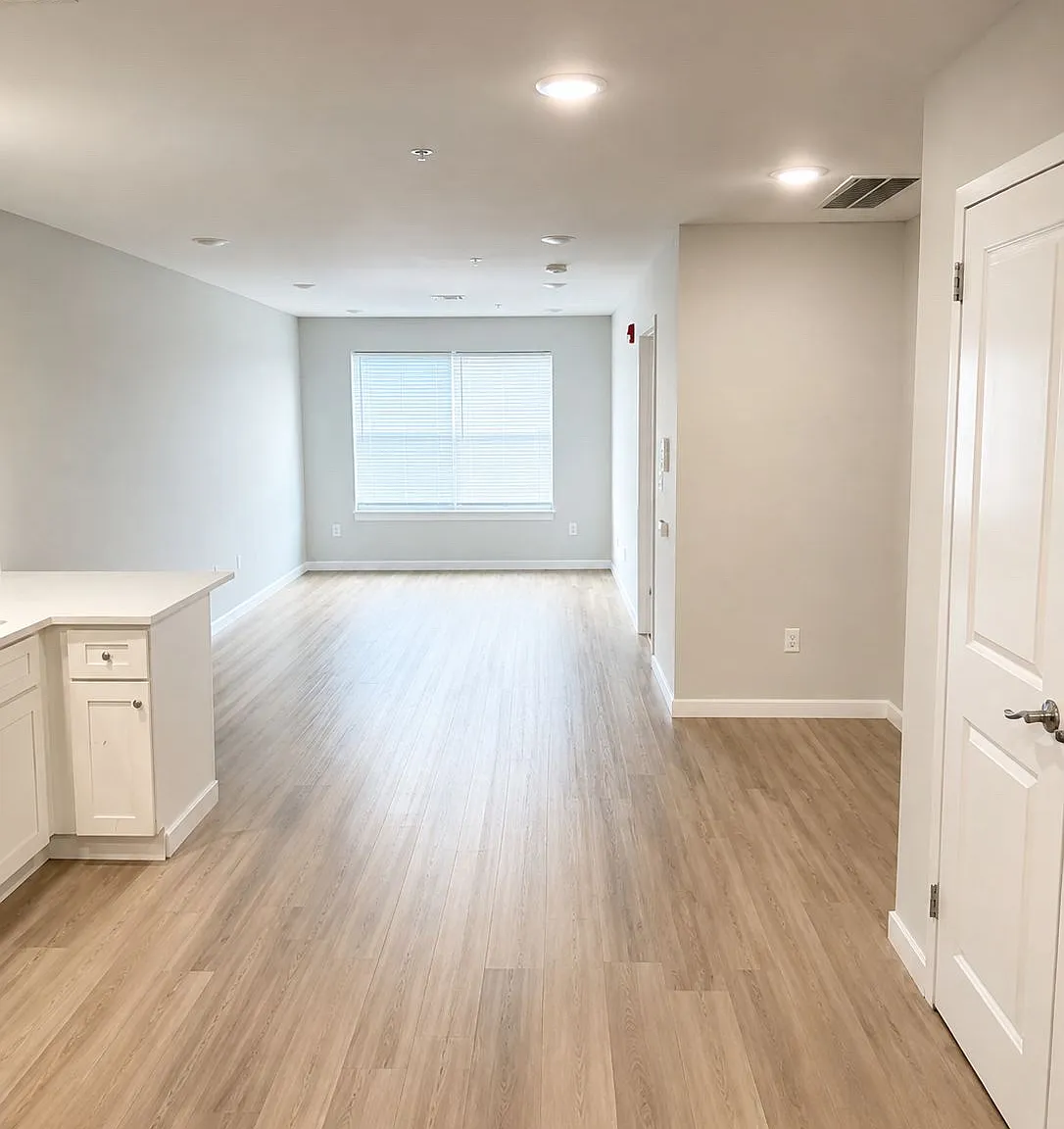 1 bed, $1,800 — Photo 3