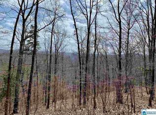 8791 Pine Mountain Rd LOT 40, Pinson, AL 35126