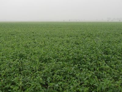 74A Green Bay Rd, Wever, IA, 52658