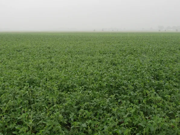 74A Green Bay Rd, Wever, IA 52658