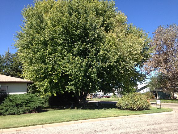 2nd image of 702 W Cherry St