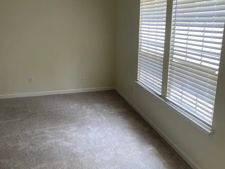 113 Chatham Trce #1 — Photo 11