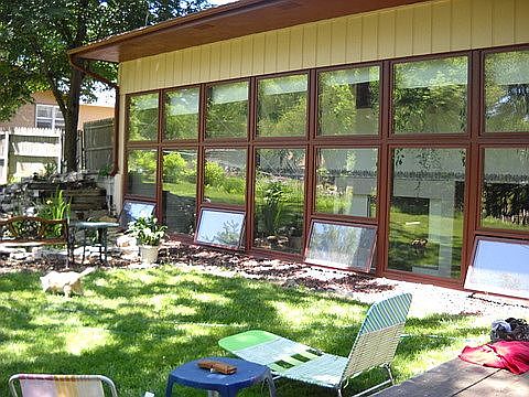 Summer in the enclosed yard
