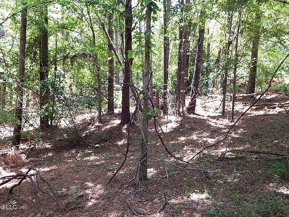 4th image of 84 County Road 154