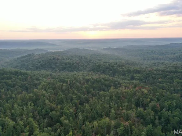 TRACT 1 State Highway 34, Silva, MO 63964