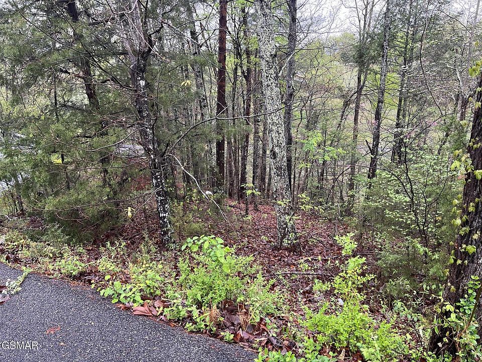 1st image of 1 Mountain View Ln Lot 1