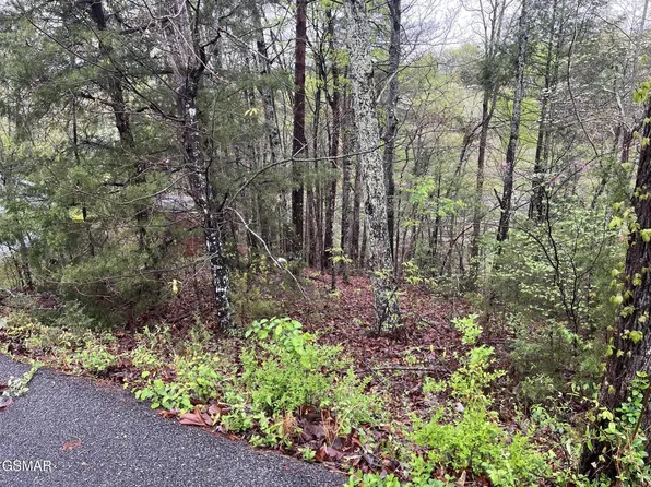 1 Mountain View Ln Lot 1, Pigeon Forge, TN 37863