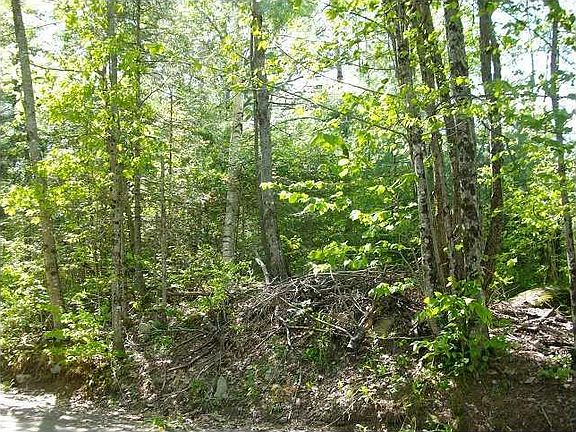2nd image of Lot 40 West Shoreroad