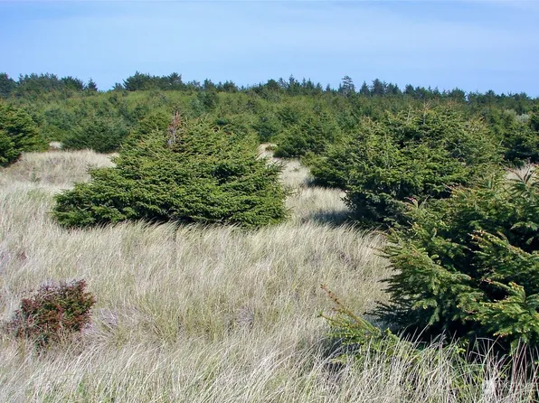 0 Lot 1 State Route 109, Copalis Beach, WA 98535