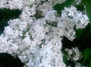 2619 College St, Manitowoc, WI 54220