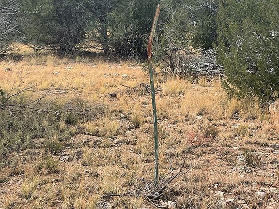 3rd image of 52840 N Conquistador Pkwy
